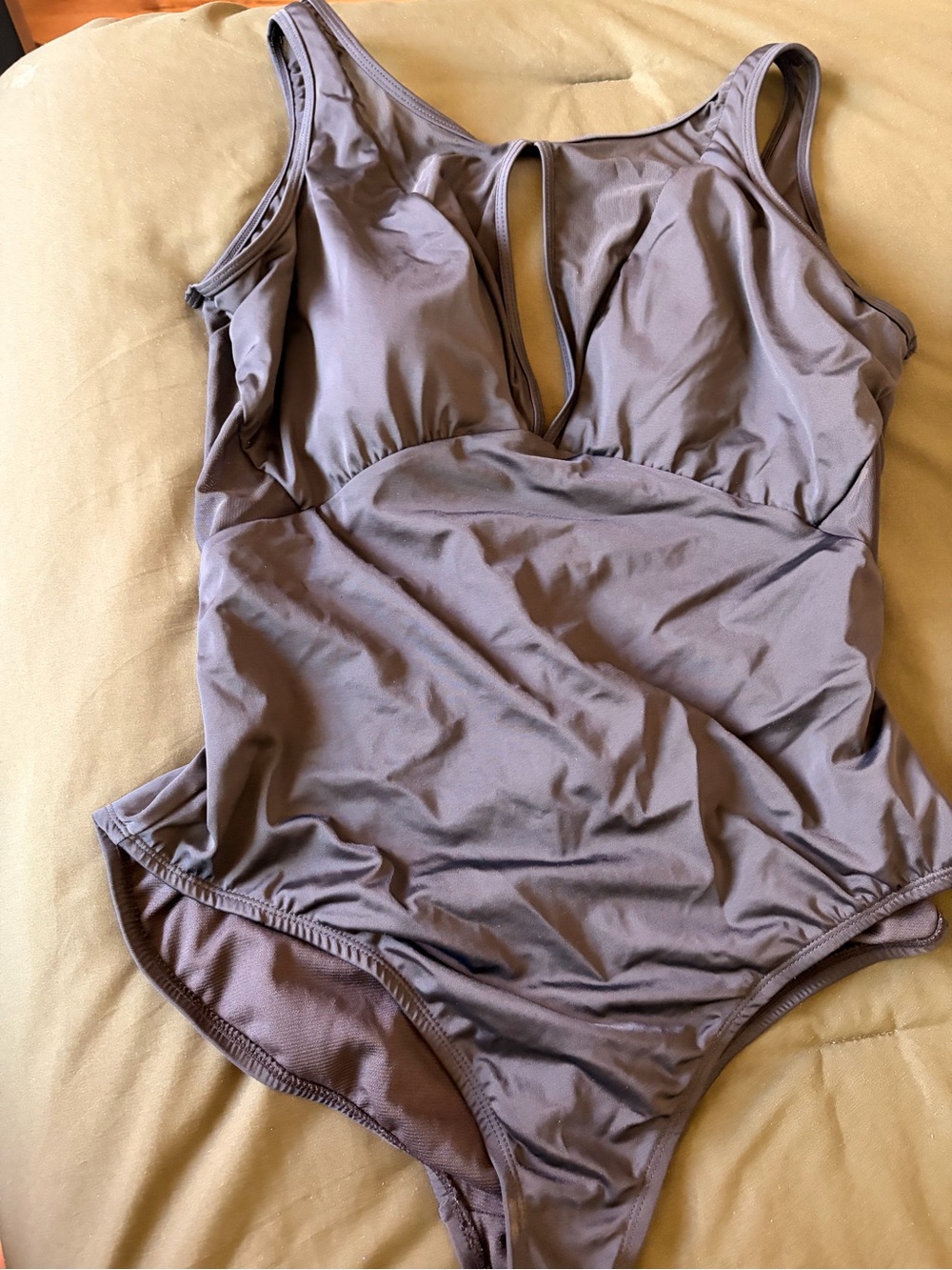 Plunging One-Piece Swimsuit in Mauve-Taupe